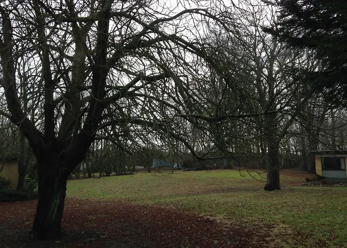 布鲁门斯李斯特克罗旅馆 宾馆 布鲁门里斯特