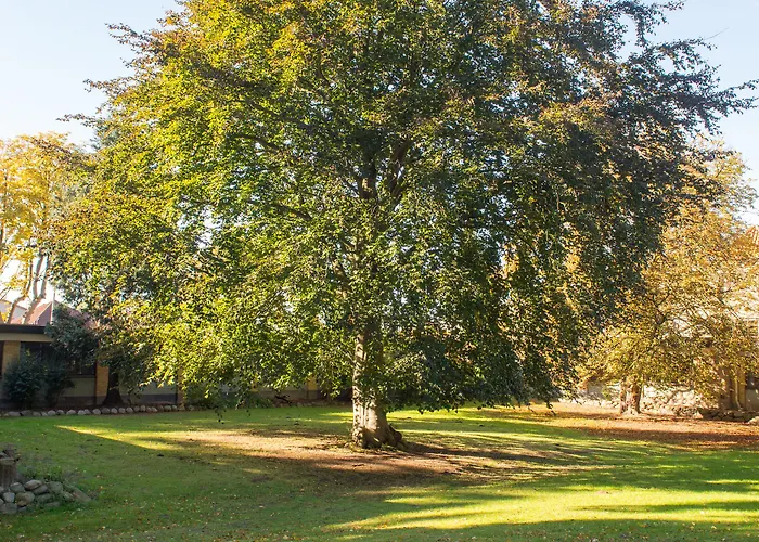 宾馆 布鲁门斯李斯特克罗旅馆